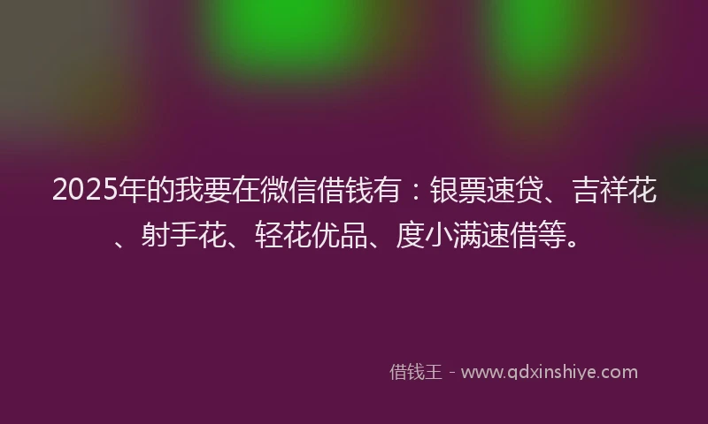 2025年的我要在微信借钱有：银票速贷、吉祥花、射手花、轻花优品、度小满速借等。