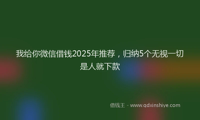 我给你微信借钱2025年推荐，归纳5个无视一切是人就下款