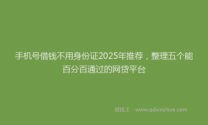 手机号借钱不用身份证2025年推荐，整理五个能百分百通过的网贷平台