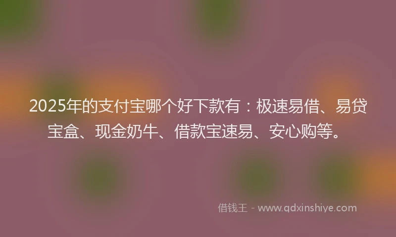 2025年的支付宝哪个好下款有：极速易借、易贷宝盒、现金奶牛、借款宝速易、安心购等。
