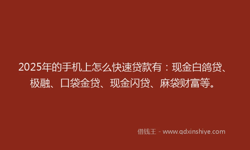 2025年的手机上怎么快速贷款有：现金白鸽贷、极融、口袋金贷、现金闪贷、麻袋财富等。