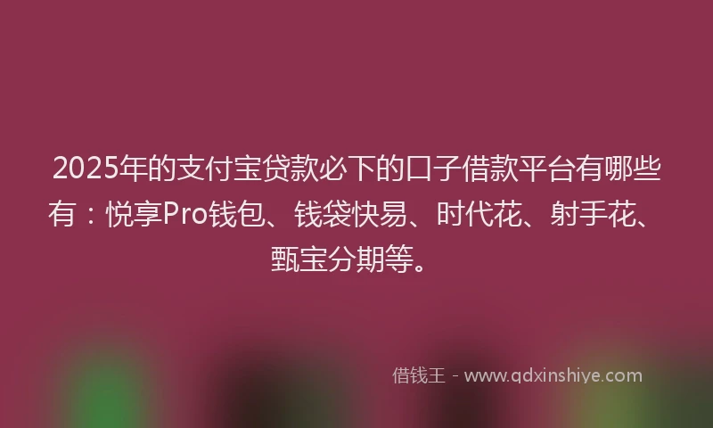 2025年的支付宝贷款必下的口子借款平台有哪些有：悦享Pro钱包、钱袋快易、时代花、射手花、甄宝分期等。