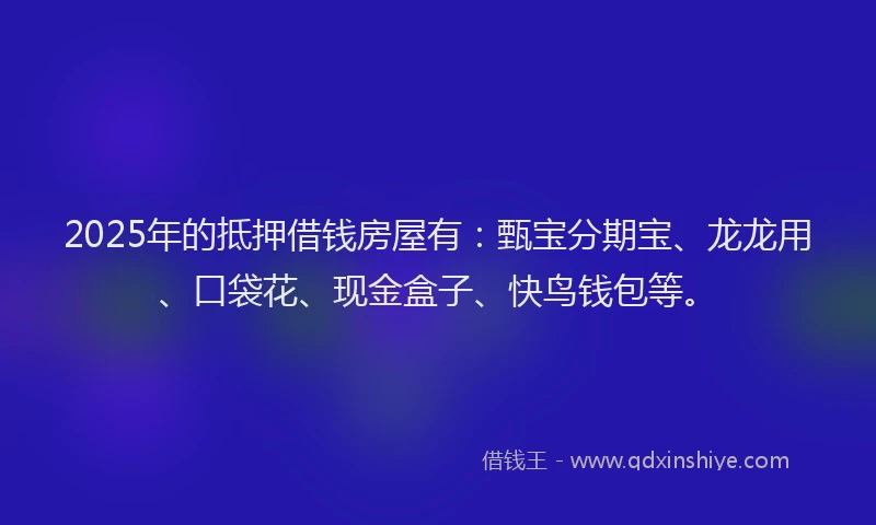 2025年的抵押借钱房屋有：甄宝分期宝、龙龙用、口袋花、现金盒子、快鸟钱包等。