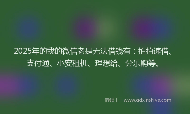 2025年的我的微信老是无法借钱有：拍拍速借、支付通、小安租机、理想给、分乐购等。
