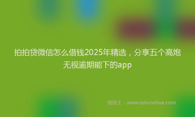 拍拍贷微信怎么借钱2025年精选，分享五个高炮无视逾期能下的app