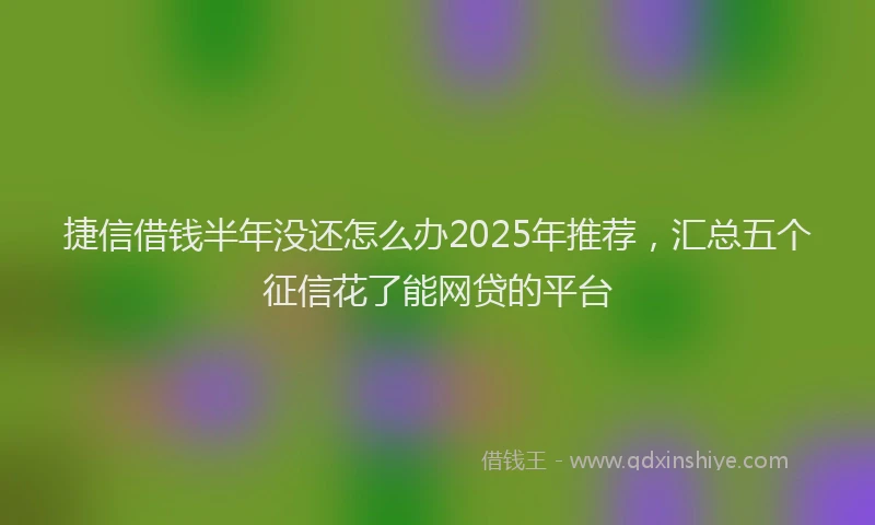 捷信借钱半年没还怎么办2025年推荐，汇总五个征信花了能网贷的平台