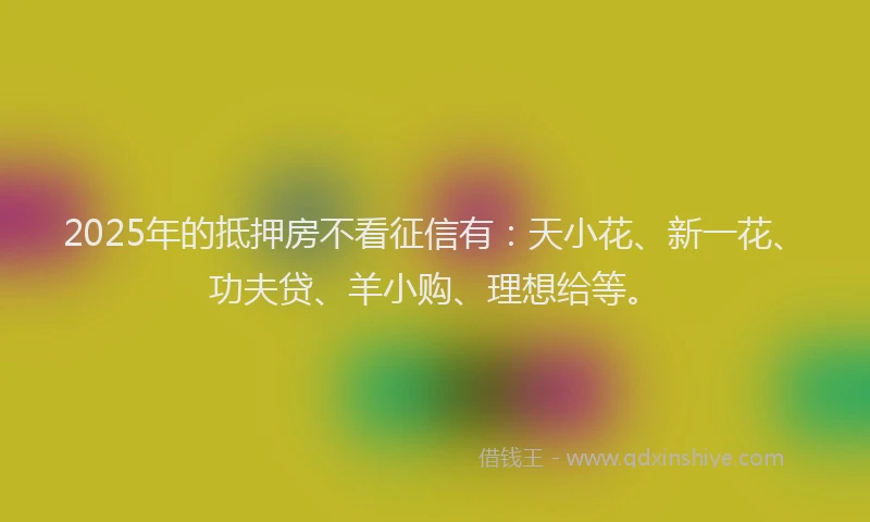 2025年的抵押房不看征信有：天小花、新一花、功夫贷、羊小购、理想给等。