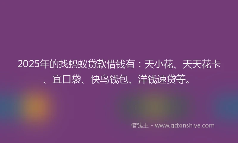 2025年的找蚂蚁贷款借钱有：天小花、天天花卡、宜口袋、快鸟钱包、洋钱速贷等。