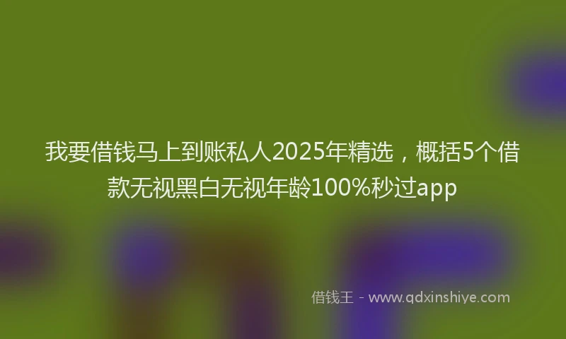 我要借钱马上到账私人2025年精选，概括5个借款无视黑白无视年龄100%秒过app