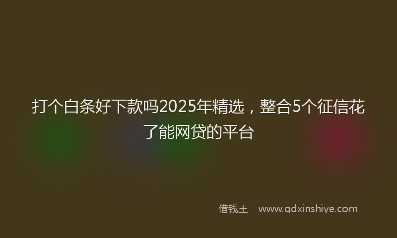 打个白条好下款吗2025年精选，整合5个征信花了能网贷的平台