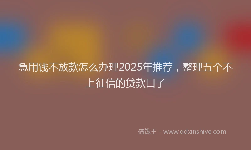 急用钱不放款怎么办理2025年推荐，整理五个不上征信的贷款口子