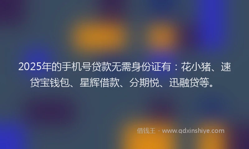 2025年的手机号贷款无需身份证有：花小猪、速贷宝钱包、星辉借款、分期悦、迅融贷等。