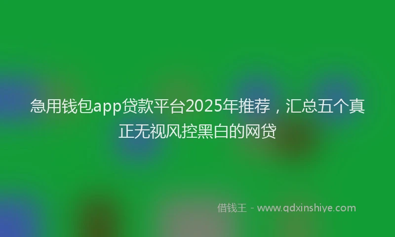 急用钱包app贷款平台2025年推荐，汇总五个真正无视风控黑白的网贷