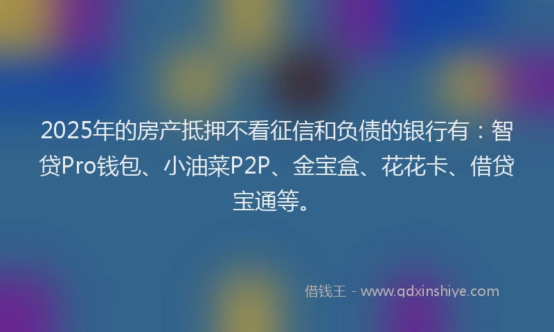 2025年的房产抵押不看征信和负债的银行有：智贷Pro钱包、小油菜P2P、金宝盒、花花卡、借贷宝通等。
