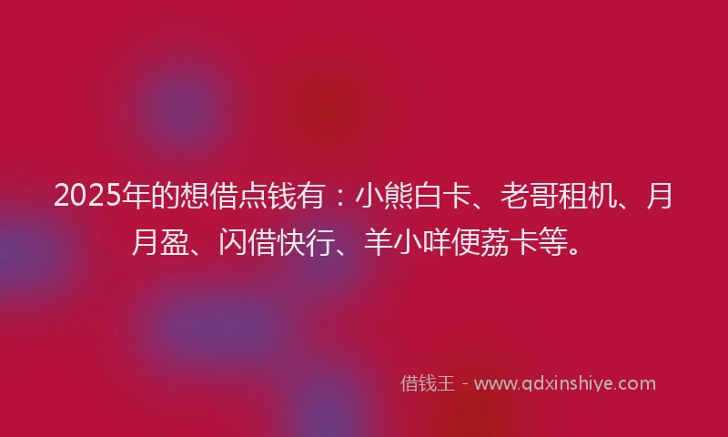 2025年的想借点钱有：小熊白卡、老哥租机、月月盈、闪借快行、羊小咩便荔卡等。
