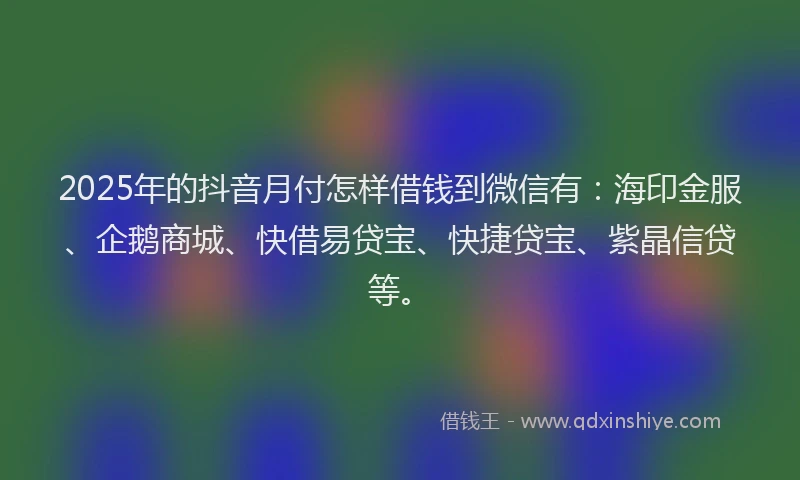 2025年的抖音月付怎样借钱到微信有：海印金服、企鹅商城、快借易贷宝、快捷贷宝、紫晶信贷等。