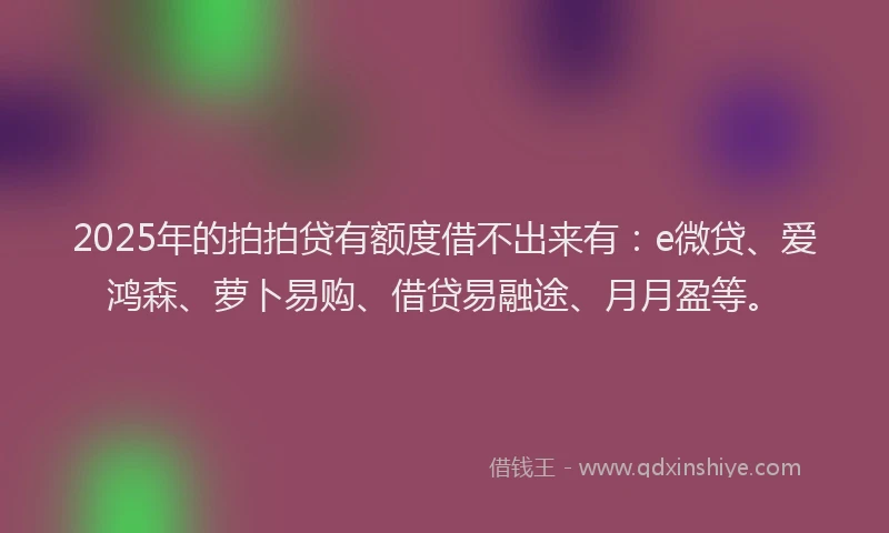 2025年的拍拍贷有额度借不出来有：e微贷、爱鸿森、萝卜易购、借贷易融途、月月盈等。