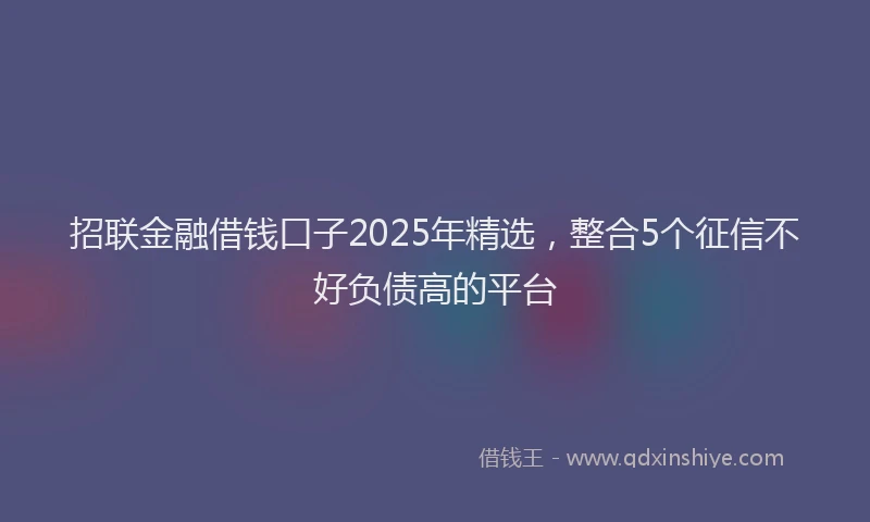 招联金融借钱口子2025年精选，整合5个征信不好负债高的平台