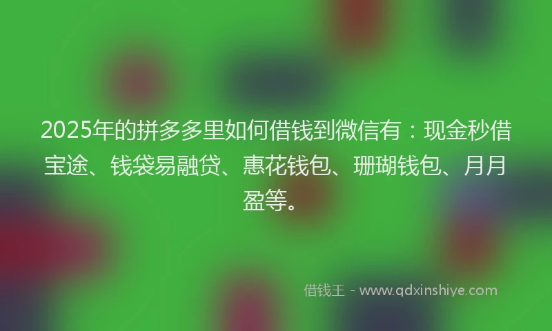 2025年的拼多多里如何借钱到微信有：现金秒借宝途、钱袋易融贷、惠花钱包、珊瑚钱包、月月盈等。