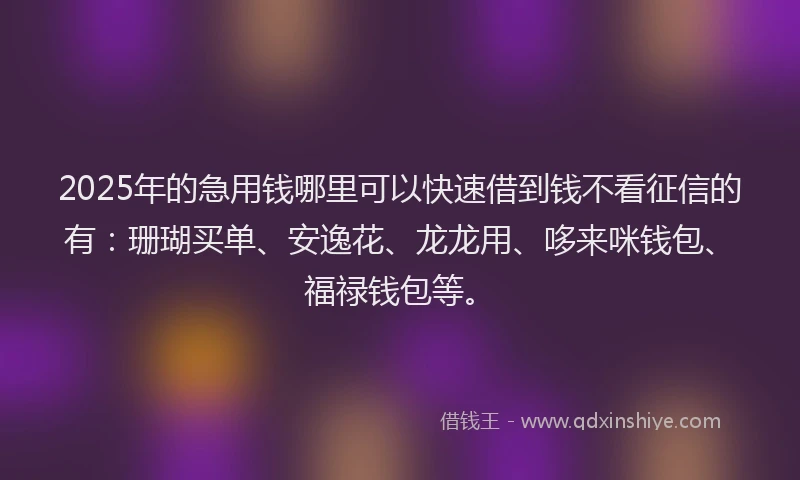 2025年的急用钱哪里可以快速借到钱不看征信的有：珊瑚买单、安逸花、龙龙用、哆来咪钱包、福禄钱包等。