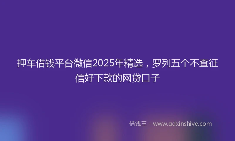 押车借钱平台微信2025年精选，罗列五个不查征信好下款的网贷口子