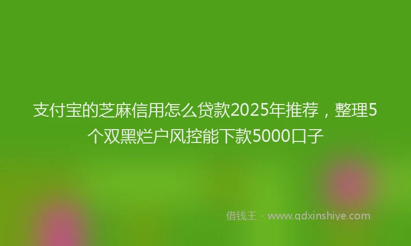 支付宝的芝麻信用怎么贷款2025年推荐，整理5个双黑烂户风控能下款5000口子