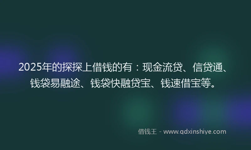 2025年的探探上借钱的有：现金流贷、信贷通、钱袋易融途、钱袋快融贷宝、钱速借宝等。