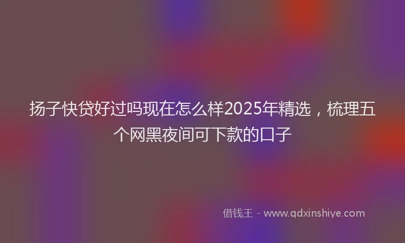 扬子快贷好过吗现在怎么样2025年精选，梳理五个网黑夜间可下款的口子