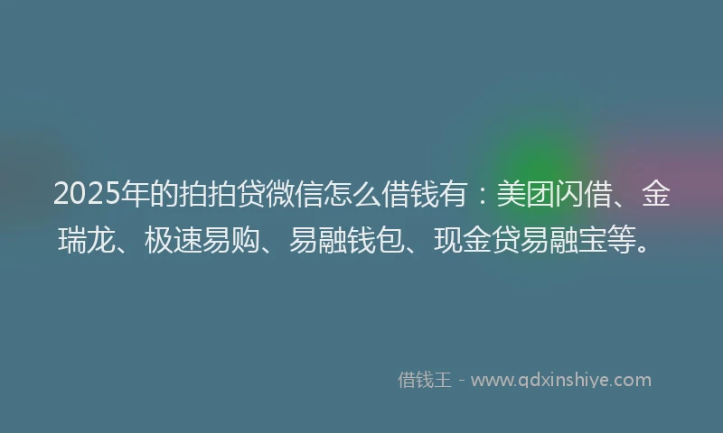 2025年的拍拍贷微信怎么借钱有：美团闪借、金瑞龙、极速易购、易融钱包、现金贷易融宝等。