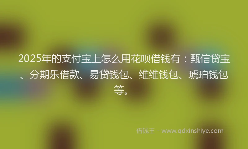 2025年的支付宝上怎么用花呗借钱有：甄信贷宝、分期乐借款、易贷钱包、维维钱包、琥珀钱包等。