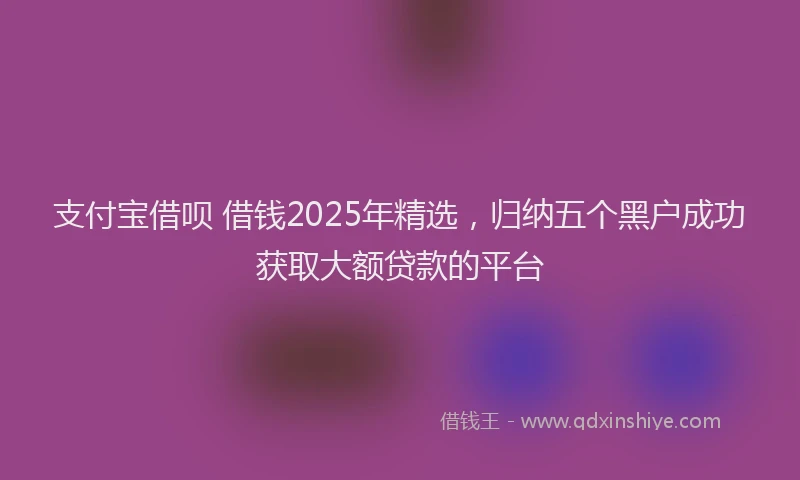 支付宝借呗 借钱2025年精选，归纳五个黑户成功获取大额贷款的平台