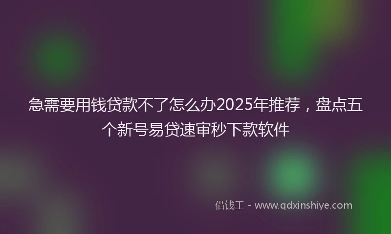 急需要用钱贷款不了怎么办2025年推荐，盘点五个新号易贷速审秒下款软件