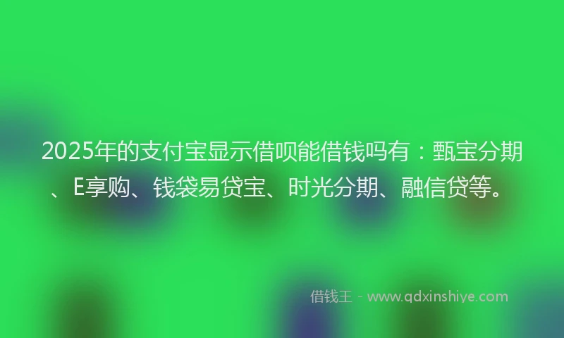 2025年的支付宝显示借呗能借钱吗有：甄宝分期、E享购、钱袋易贷宝、时光分期、融信贷等。