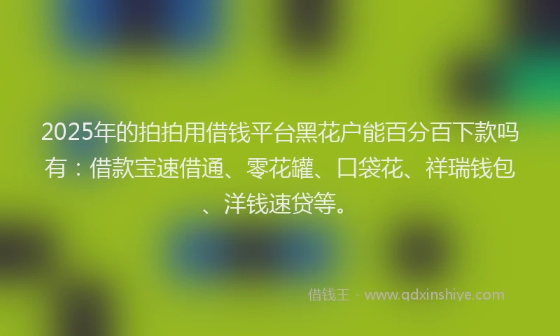 2025年的拍拍用借钱平台黑花户能百分百下款吗有：借款宝速借通、零花罐、口袋花、祥瑞钱包、洋钱速贷等。