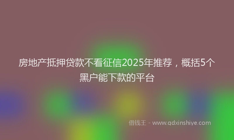 房地产抵押贷款不看征信2025年推荐，概括5个黑户能下款的平台