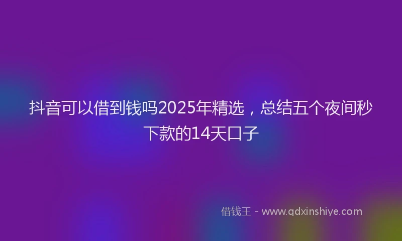 抖音可以借到钱吗2025年精选，总结五个夜间秒下款的14天口子