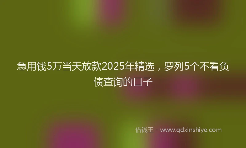 急用钱5万当天放款2025年精选，罗列5个不看负债查询的口子