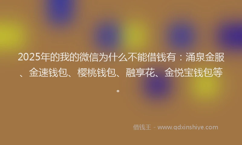 2025年的我的微信为什么不能借钱有：涌泉金服、金速钱包、樱桃钱包、融享花、金悦宝钱包等。