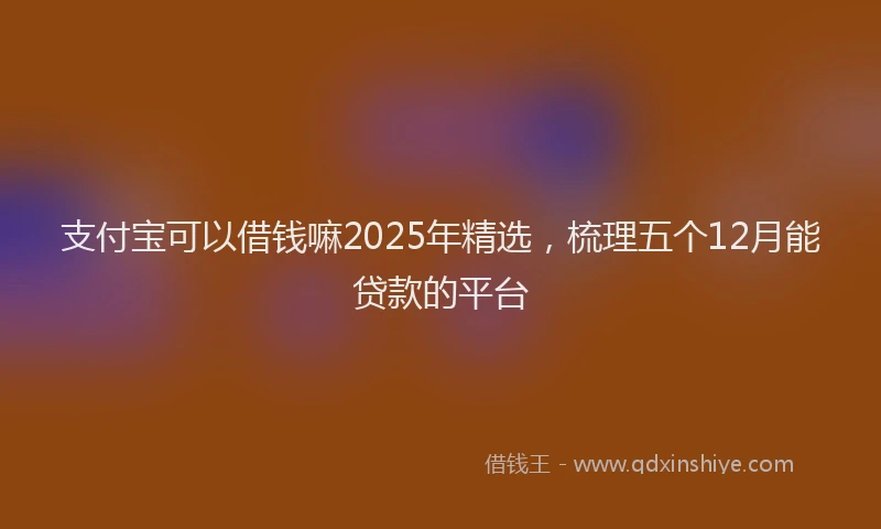 支付宝可以借钱嘛2025年精选，梳理五个12月能贷款的平台