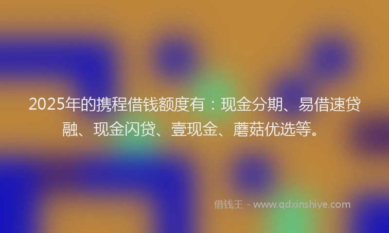 2025年的携程借钱额度有：现金分期、易借速贷融、现金闪贷、壹现金、蘑菇优选等。