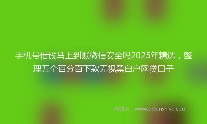 手机号借钱马上到账微信安全吗2025年精选，整理五个百分百下款无视黑白户网贷口子