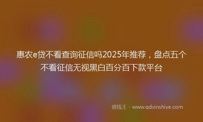 惠农e贷不看查询征信吗2025年推荐，盘点五个不看征信无视黑白百分百下款平台