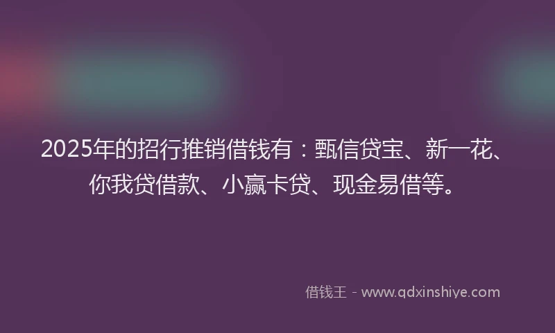 2025年的招行推销借钱有：甄信贷宝、新一花、你我贷借款、小赢卡贷、现金易借等。