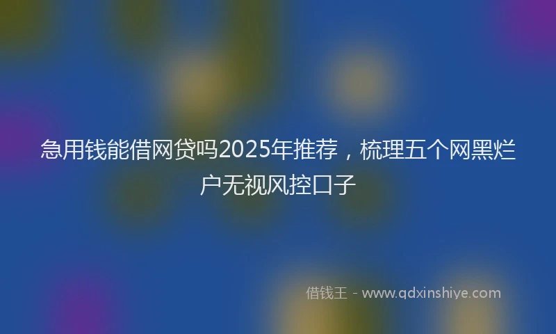 急用钱能借网贷吗2025年推荐，梳理五个网黑烂户无视风控口子