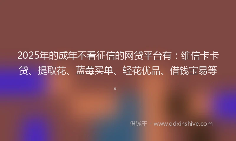 2025年的成年不看征信的网贷平台有：维信卡卡贷、提取花、蓝莓买单、轻花优品、借钱宝易等。