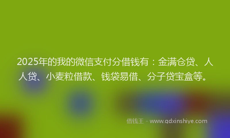 2025年的我的微信支付分借钱有：金满仓贷、人人贷、小麦粒借款、钱袋易借、分子贷宝盒等。