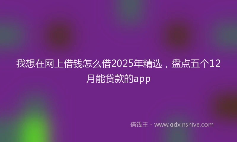 我想在网上借钱怎么借2025年精选，盘点五个12月能贷款的app