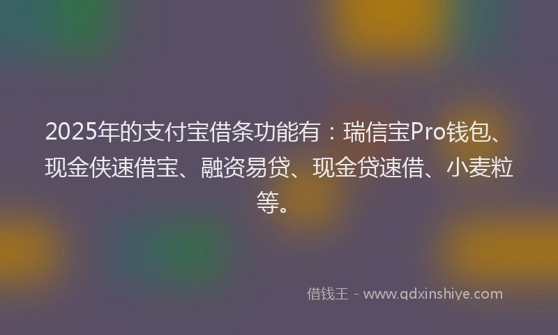 2025年的支付宝借条功能有：瑞信宝Pro钱包、现金侠速借宝、融资易贷、现金贷速借、小麦粒等。