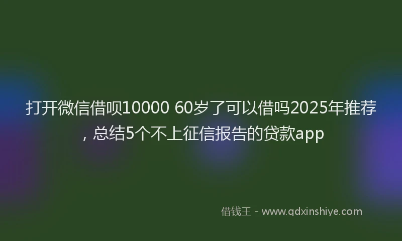 打开微信借呗10000 60岁了可以借吗2025年推荐，总结5个不上征信报告的贷款app