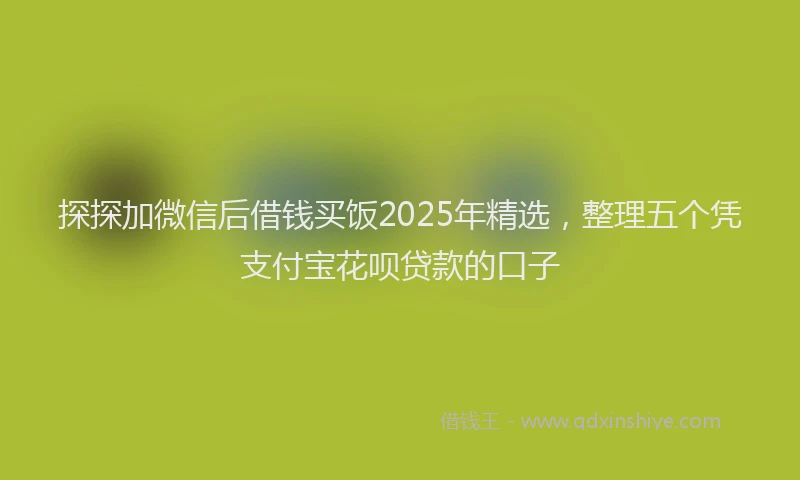 探探加微信后借钱买饭2025年精选，整理五个凭支付宝花呗贷款的口子